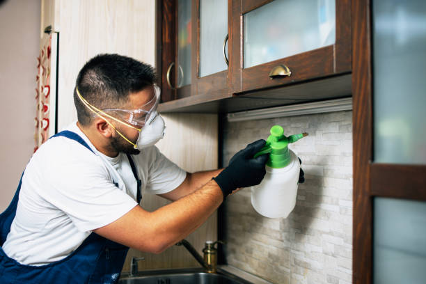 Professional Pest Control in Dumfries, VA