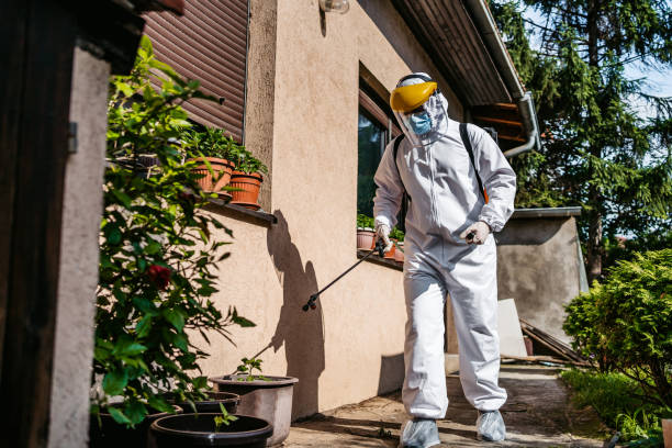 Best Pest Removal Services  in Dumfries, VA