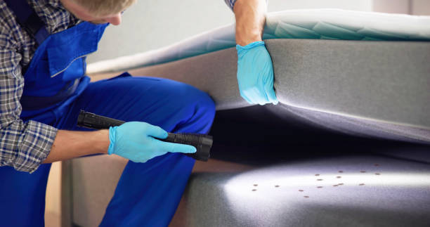 Best Affordable Pest Control Services  in Dumfries, VA